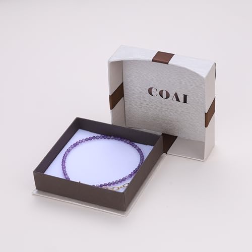 COAI Beach Waterproof Anklet for Women, Black Tourmaline Moonstone Amethyst Beaded Anklet for Women - style: Amethyst