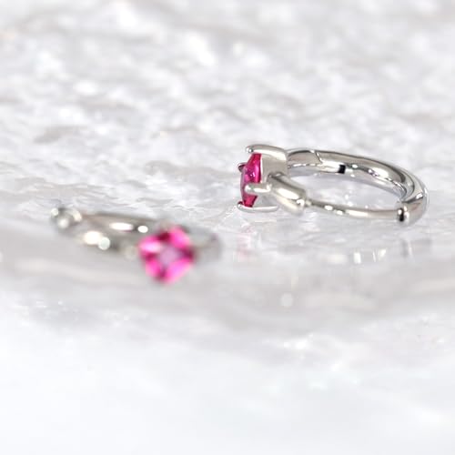 316L Surgical Steel Birthstone Hoop Earrings for Women | Lightweight, 5A Cubic Zirconia, Hypoallergenic, Lead & Nickel Free, 8mm Huggie Hoops - color: Silver: 07. July (Ruby)