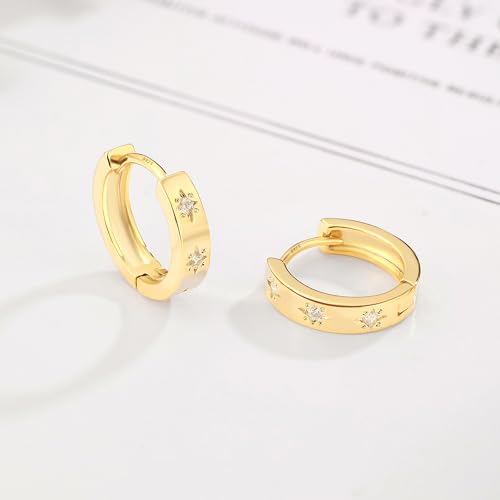 DAILY VIBES Dainty Small Star Huggie Hoop Earrings for Women Trendy | 925 Sterling Silver Post, 14K Gold or Silver Plated, Mini Cubic Zirconia, Cartilage Hoop Earrings - color: Gold Mini Star