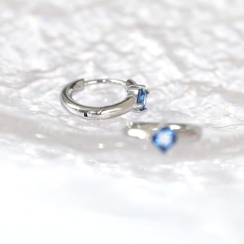 316L Surgical Steel Birthstone Hoop Earrings for Women | Lightweight, 5A Cubic Zirconia, Hypoallergenic, Lead & Nickel Free, 8mm Huggie Hoops - color: Silver: 12. December (Tanzanite)