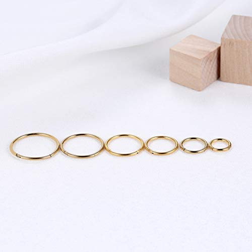 Lantine 16g 18g 20g Nose Rings Hoops Grade 23 Titanium Black Hinged Septum Rings Seamless Clicker Sleeper Cartilage Daith Tragus Helix Piercing Hoop Earrings - color: Gold