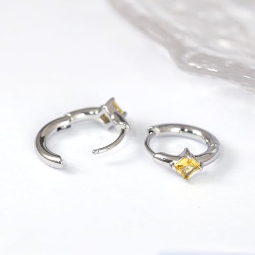 316L Surgical Steel Birthstone Hoop Earrings for Women | Lightweight, 5A Cubic Zirconia, Hypoallergenic, Lead & Nickel Free, 8mm Huggie Hoops - color: Silver: 11. November (Citrine)