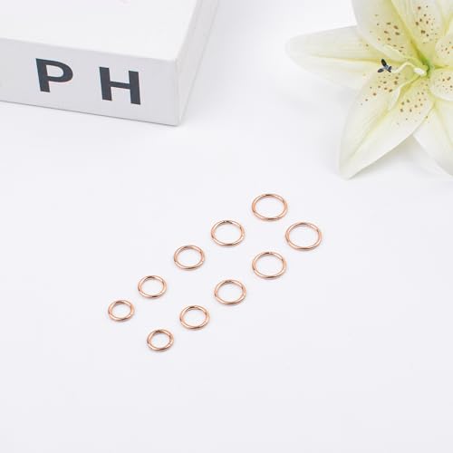LEE&RO 16G 6MM 7MM 8MM 9MM 10MM Hinged Clicker Septum Rings 16G Nose Hoop Tragus Helix Cartilage Hoop Earrings - color: rose gold
