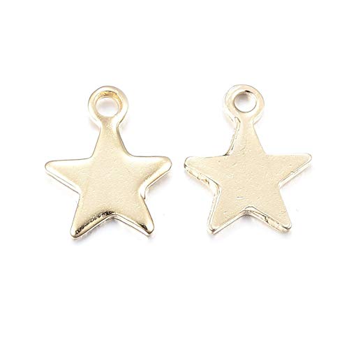 Mega Pet 100pcs Stainless Steel Star Pendants Charms Golden Jewelry Charms DIY Accessories for Bracelets Necklaces Jewerly Making - size: 10x8x1mm#Star