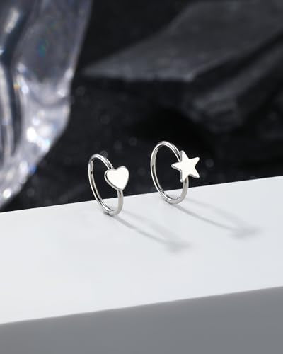 20g Nose Rings Hoops 316L Surgical Stainless Steel Nose Piercing Jewelry Helix Tragus Conch Rook Earrings Hinged Segment Lip Ring for Women Men
