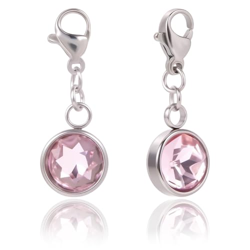 Beebeecraft 12Pcs 12 Colors Clip On Birthstone Charms 304 Stainless Steel Rhinestone Lobster Clasp Charms for Jewelry Necklace Bracelet Making