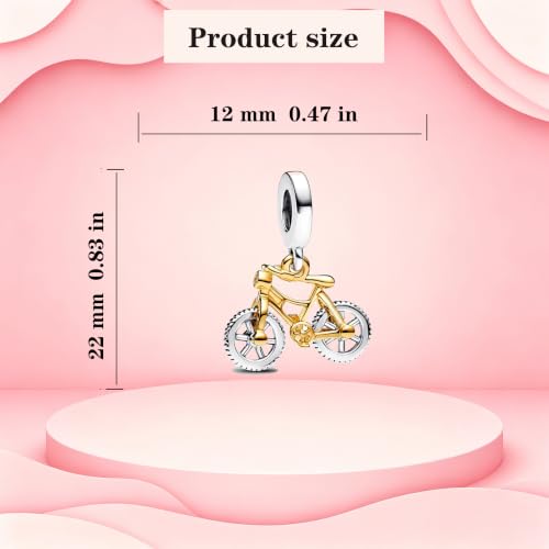 925 Sterling Silver Charms Pendants Mom Heart Dog koi fish Sea Turtle Football Charms for bracelet Pendants Beads Mom Sister Wife Family, Friends, Birthday gifts - style: Bicycle Pendants