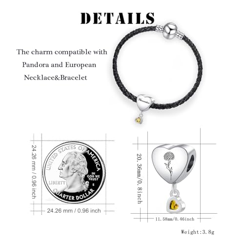 Birth Flower Heart Charm 12 Birthstone Bead for European Bracelet Necklace - style: November