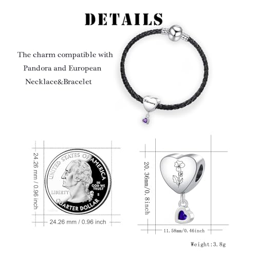 Birth Flower Heart Charm 12 Birthstone Bead for European Bracelet Necklace - style: February