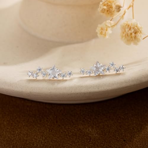 Robaice Cartilage Climber Earrings for Women,14K Gold Plated Helix Stud | Trendy Cluster Earrings, CZ Stud Earring, Tragus Conch Daith Piercing, Ear Crawer,Hypoallergenic Jewelry Gift for Women - color: E-Silver Star