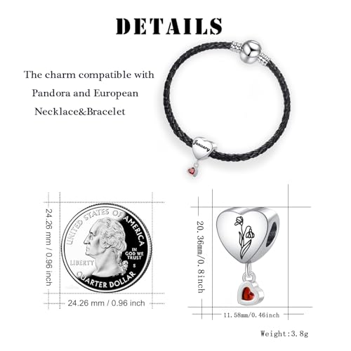 Birth Flower Heart Charm 12 Birthstone Bead for European Bracelet Necklace - style: January