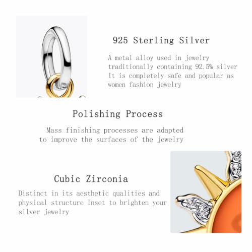 Charms Beads 925 Sterling Silver Animal Heart Flower Friend Dangle Pendant with 5A Cubic fits for Charms Bracelets for Woman Valentine's Day Mother's Day Christmas Graduation Birthday Gift - style: Sun