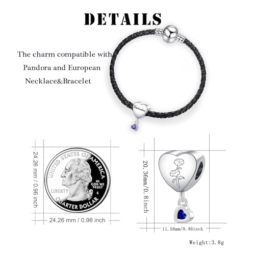 Birth Flower Heart Charm 12 Birthstone Bead for European Bracelet Necklace - style: September