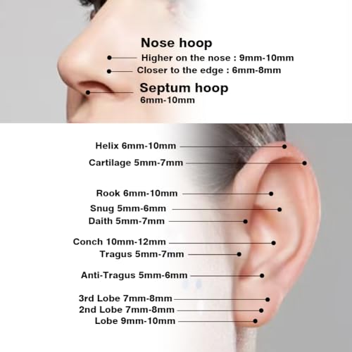 Stainless Steel 20G 18G Nose Rings Hoop and Nose Studs Sets Piercings Jewelry for Women and Men Hinged Clicker Segment Nose Rings Hoop Helix Cartilage Daith Tragus Sleeper Earrings