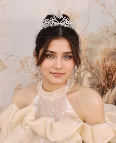 Wedding Crystal Tiara for Women Elegant Bridal Pearl Rhinestone Crown Swan Queen Princess Costume Crown Star Crystal Headpiece Accessory for Cosplay Birthday Party - color: Swan 2-silver