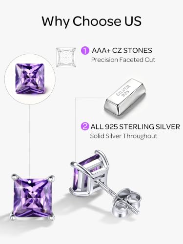 ChicSilver 925 Sterling Silver Earrings Sparkling Heart/Round/Princess Cut Birthstone Earrings for Women Birthday Jewelry with Gift Box - style: A.February(Amethyst)-Princess Cut