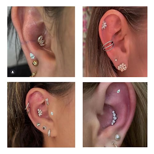 1pcs 16G 18G G23 Titanium Threadless Labret Studs Push-in Labret Lip Cluster Tragus Helix Conch Lobe Rook Cartilage Push Back Piercing Jewelry Earring - style: Flower CZ