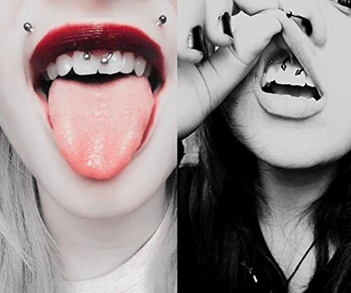 Longita Internally Threaded Septum Ring Silver Black Gold Septum Rings 16G Septum Piercing Surgical Steel Septum Jewelry Septum Nose Rings 16 Gauge Small Septum Ring Horseshoe with Replacement Balls - color: C2-silver+black-10mm