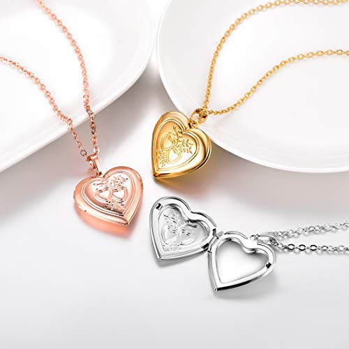 U7 Women Locket Necklace, Heart Photo Lockets Hold Picture, Gift Box Packed | Gold/Silver/Rose Locket Charm, Custom Picture and Engravement Heart Pendant, 20" Chain, Personalized Gift for Mom Wife Friend - color: 03# Rose Gold*2 Heart
