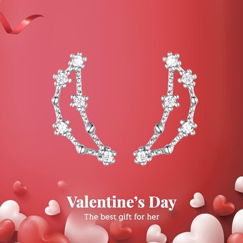 925 Sterling Silver CZ Horoscope Zodiac 12 Constellation Astrology Ear Crawler Post Earrings Gift for Mom Women Mothers Day/Valentines Day/Birthday/Christmas/Anniversary - style: Capricorn (Dec 22 - Jan 19)
