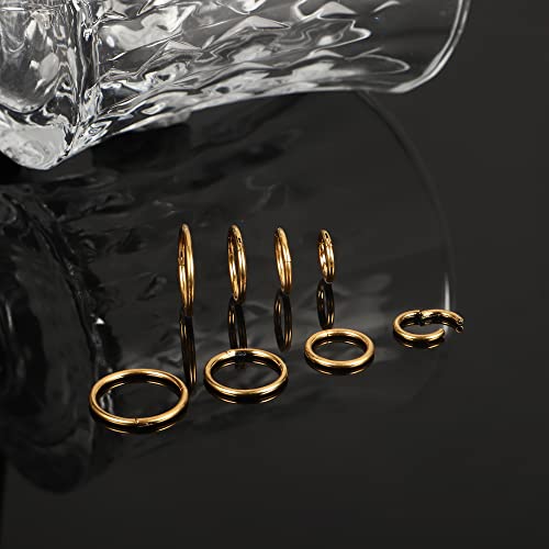 LOYALLOOK 8Pcs G23 Titanium Hinged Clicker Segment Nose Rings Hoop Septum Nose Lip Ring Hoop for Women Men Helix Cartilage Daith Tragus Sleeper Earrings Body Piercing Improved 16G - color: 16G-Gold