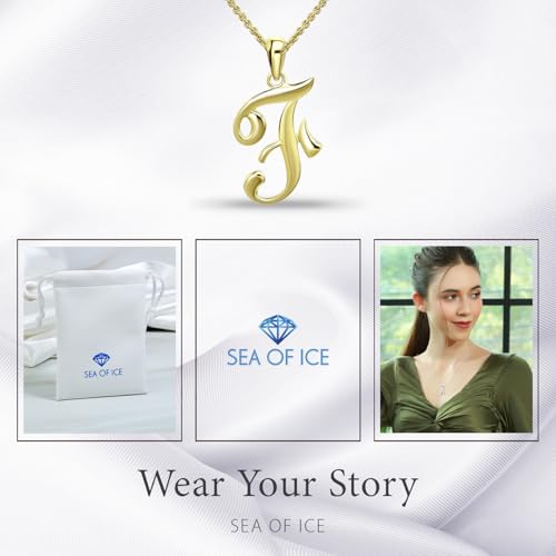 SEA OF ICE Letter Initial Necklace, Alphabet Letter Pendant Necklace, Sterling Silver, Gold, Rose Gold Necklace for Women, Elegant Initial Necklaces, Personalized Custom Women's Necklaces - color: Yellow Gold - F