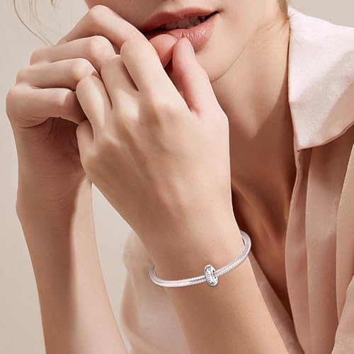 Annmors S925 Clip Spacer Safety Chain Stopper Charms for Pandora, Gift Mom Daughter Friend Sister Wife Grandma Girlfriend Fmaily On Christmas Mothers Valentines Halloween Graduation - color: C05-2pcs Silicon Spacer