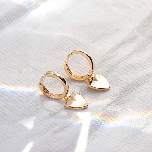 Heart Dangle Hoop Earrings for Women | 14K Gold Plated Love Heart Huggie Earrings, Hypoallergenic Dainty Jewelry Gift for Women - style: G- Loving Heart