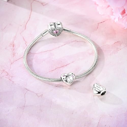 14K Gold Plated Charms for Bracelets Necklace Star Moon Cross Beads Woman | 925 Sterling Silver Charms Butterfly Cute Cat Dog Evil Eye Lucky Bracelet Beads Aesthetic Peandant Jewelry Gift for Mom - color: silver 2