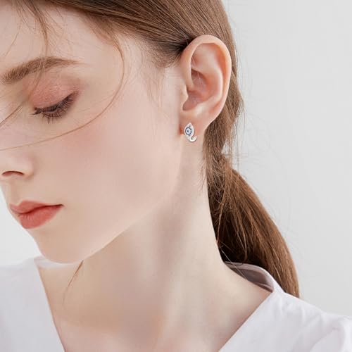 Blue Evil Eye/Celtic/Owl/Moonstone/Paw Print/Cubic Zirconia Hoop Earrings for Women 925 Sterling Silver Women Earrings Jewelry - style: eye B