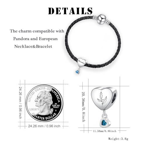 Birth Flower Heart Charm 12 Birthstone Bead for European Bracelet Necklace - style: December