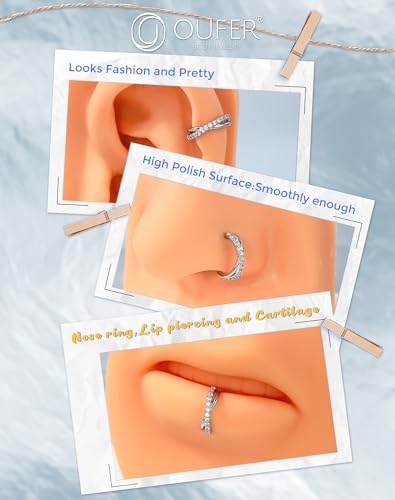 OUFER Nose Rings Silver, 20G Double Hoop 8MM Nose Rings, Seamless Stainless Steel Rook Daith Piercing Jewelry for Women & Men - style: Style5-Sliver Braids