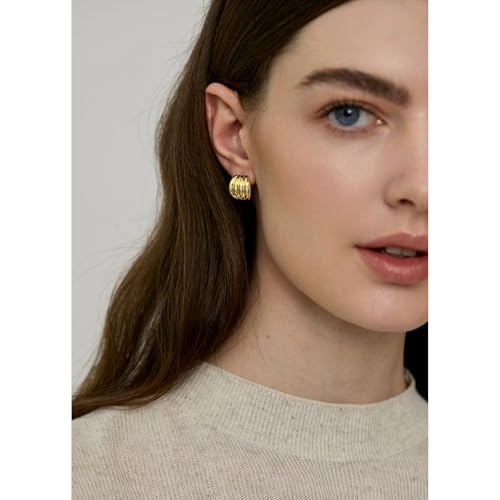 Statement Chunky Gold Earrings for Women Unique Square Stainless Steel Heaven Mayhem Button Stud Earrings Trendy Jewelry - style: Gold Striped