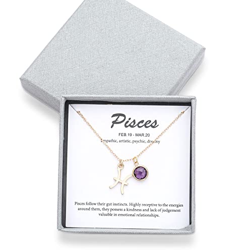 14k Gold Plated Zodiac Birthstone Crystal Pendant Necklace, Horoscope Sign Charm Necklace for Women Birthday Gift - color: Pisces-Feb.