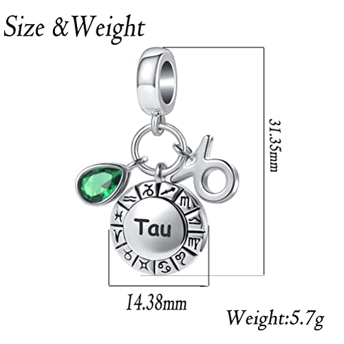 Birthday Pisces Constellation Charm for Pandora Bracelets Teardrop Horoscope Zodiac Sign February March Birthstone Blue Crystal Dangle Bead for Sister Mother