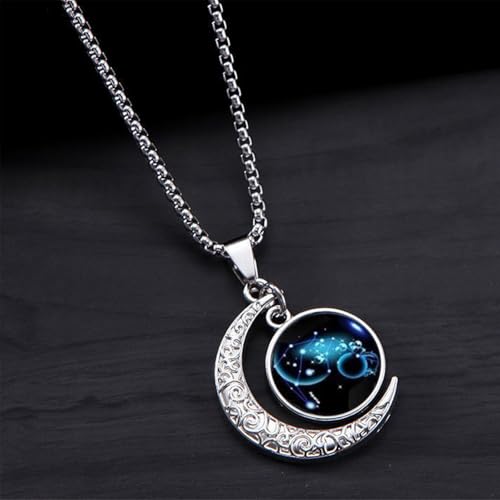 Stainless Steel Mens Necklace 12 Zodiac Moon Galaxy Pendant Necklace,22.8 Inch Stainless Steel Chain, 1.13 Inch Aries/Pisces Celestial Crescent Moon Star Sign Charm Jewelry - style: Aquarius(1.20-2.18)