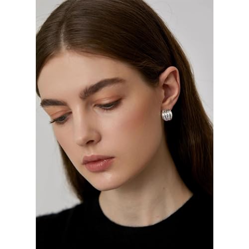 Statement Chunky Gold Earrings for Women Unique Square Stainless Steel Heaven Mayhem Button Stud Earrings Trendy Jewelry - style: Silver Striped