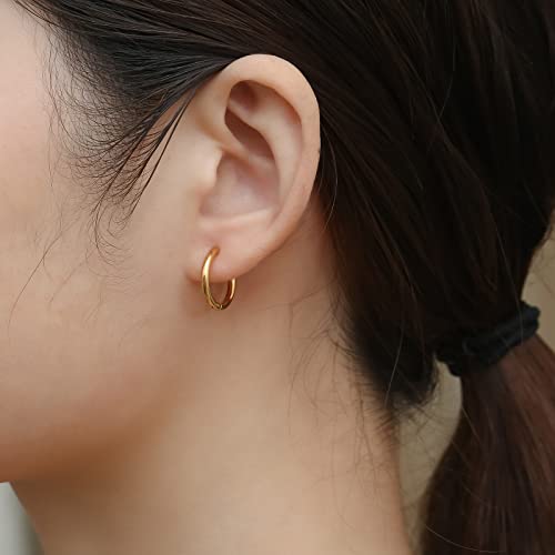 316L Surgical Stainless Steel Small Hoop Earrings 8mm 10mm 12mm 14mm Hypoallergenic Huggie Hoop Earrings Helix Lobes Hinged Sleeper Earrings Cartilage Piercings - color: F: Gold (Diameter 8mm/10mm/12mm/14mm),4 Pairs