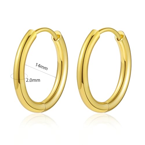 Titanium Huggie Hoop Earrings Hypoallergenic Nickel Free Hinged Sleeper Earrings for Sensitive Skin Cartilage Helix Lobes - style: gold-14mm