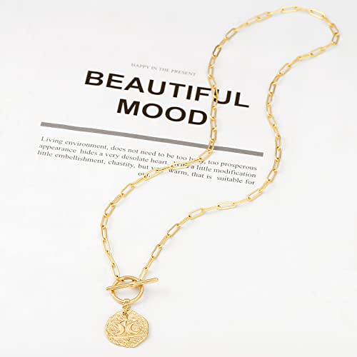 Aobei Pearl 18K Gold Plated Moon Star Lion Evil Eye Love Heart Cross Pendant Necklace Medallion Paperclip Chian Choker Layering Jewery for Women - color: 18K Gold Plated Moon and Star