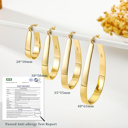 Sterling Silver Hoop Earrings for Women Large Oval Hoop Earrings Lightweight Big Gold Hoops Earrings Hypoallergenic 14K Gold Plated Hoops Earrings Non Tarnish Jewelry Gifts 20/30/40mm - color: Gold-20*30mm