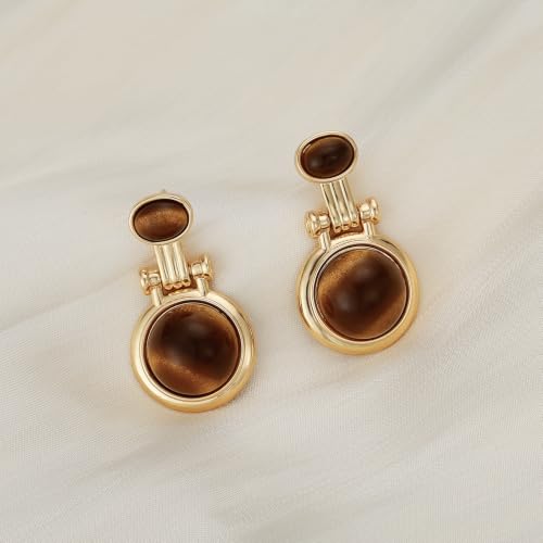 Dr's gift Chunky Leopard Print Earrings for Women 14K Gold Plated Statement Huggie Hoop Earrings Brown Acrylic Tortoise Resin Cheetah Trendy Jewelry - color: tiger tye
