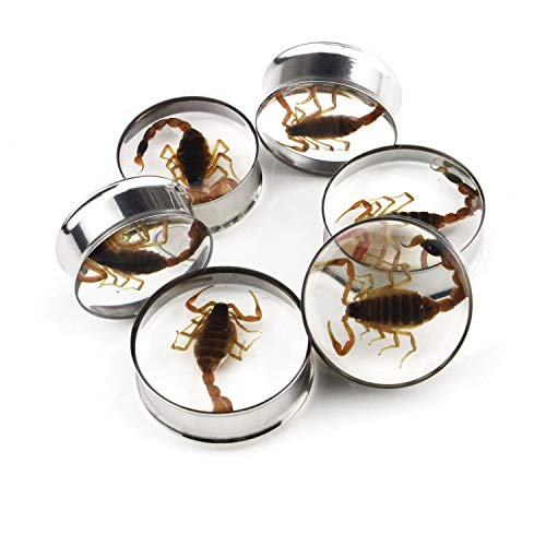 Ear Gauges Plugs Genuine Scorpion Inlay Stainless Steel Double Flare Tunnels Stretching Expander Body Piercing Jewelry 2 Pieces - color: Gauge 7/8" (22mm)