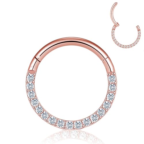 HQLA 16G Nose Hoop Ring Septum Ring Clear CZ Daith Earring Surgical Steel Hinged Segment Seamless Clicker Tragus Rook Helix Cartilage Conch Hoop Piercing Jewelry for Women men 8mm 10mm - style: 16G-10MM- Front Face CZ-Rose Gold