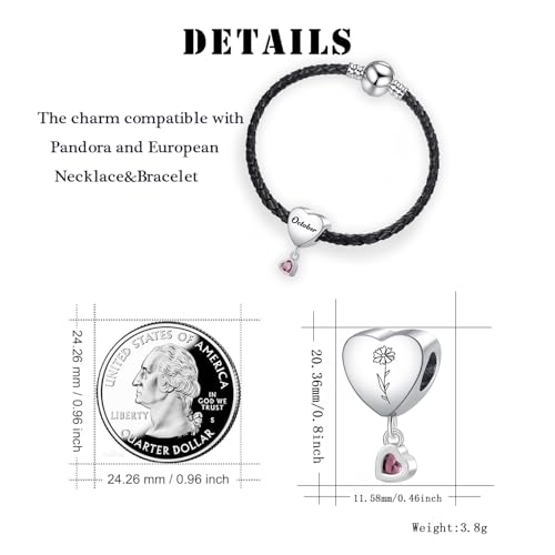 Birth Flower Heart Charm 12 Birthstone Bead for European Bracelet Necklace - style: October