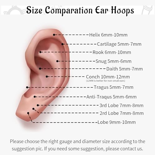 WBRWP 316L Stainless Steel Nose Hoop Rings Clicker with Zircon/Opal 14g-20g | Hypoallergenic Nose Rings Segment Clicker Lip Rings Cartilage Rook Conch Earrings Diameter 5mm-10mm - color: Black ring with zircon -1pc Pack