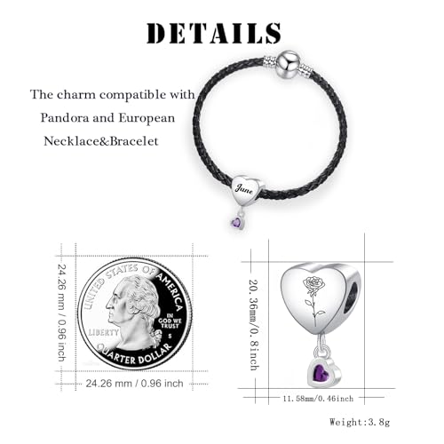 Birth Flower Heart Charm 12 Birthstone Bead for European Bracelet Necklace - style: June