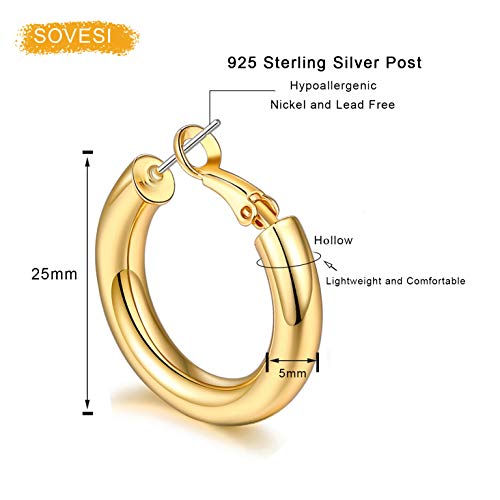 sovesi Chunky Hoop Earrings for Women, 14K Gold Plated Thick Hoops | 5mm Thick Hollow Tube Chunky Lightweight Hypoallergenic Hoop Earrings for Women - style: Rose Gold 25MM