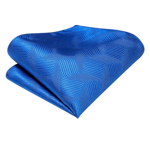 Dubulle Mens Paisley Striped Tie Woven Necktie for Men and Handkerchief Cufflinks Set Wedding Formal Business - color: Blue Royal Blue