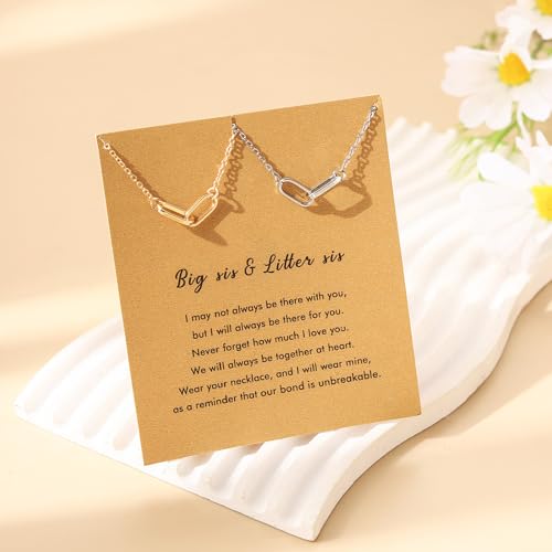 RZKING Silvery Necklace for Women, Gifts for Friend Mom Daughter Teacher - style: Paper Clip
